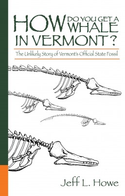 How Do You Get a Whale in Vermont? The Unlikely Story of Vermont’s State Fossil
